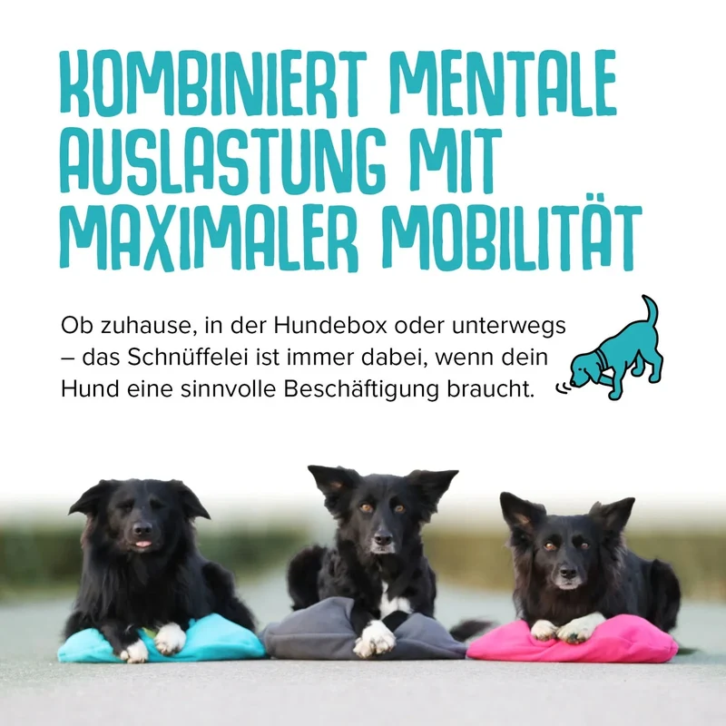 KNAUDER´S BEST | Schnüffelei