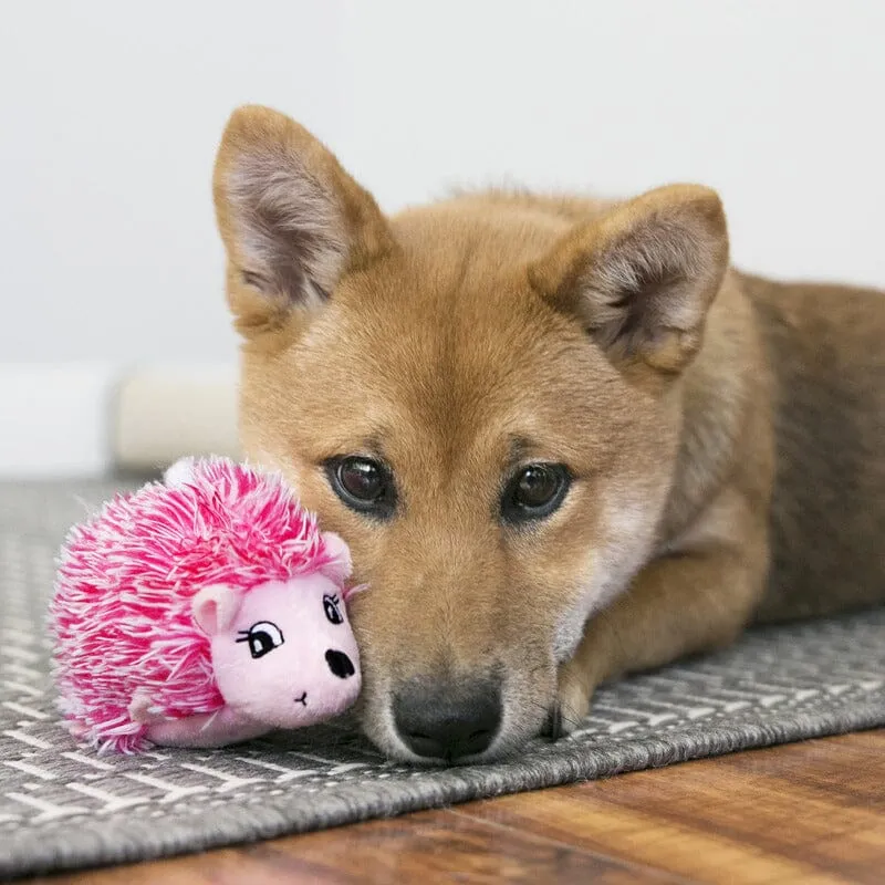 KONG | Comfort HedgeHug - Puppy