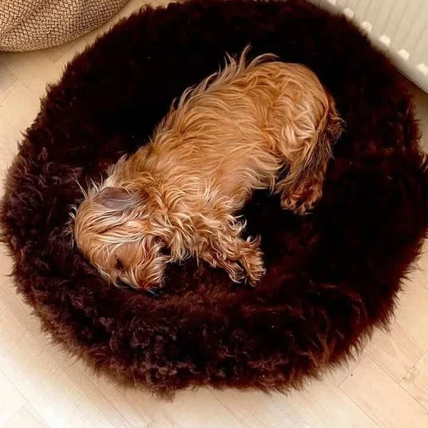 Helen Wells | Hundebett Schafwolle