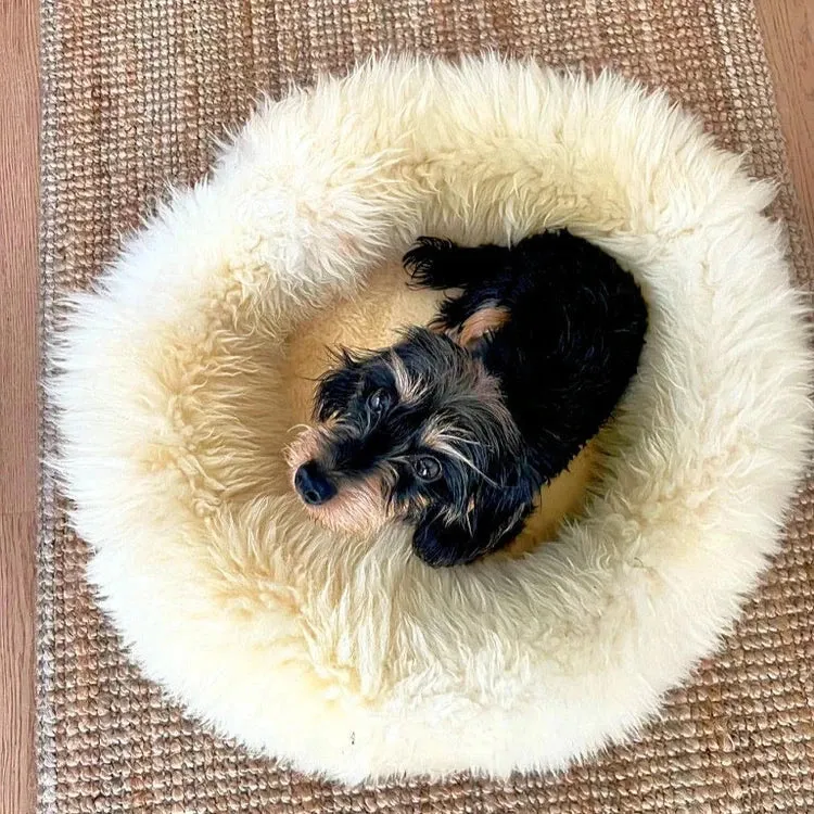 Helen Wells | Hundebett Schafwolle