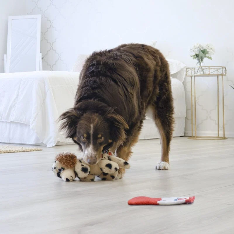 KONG | Comfort Pups