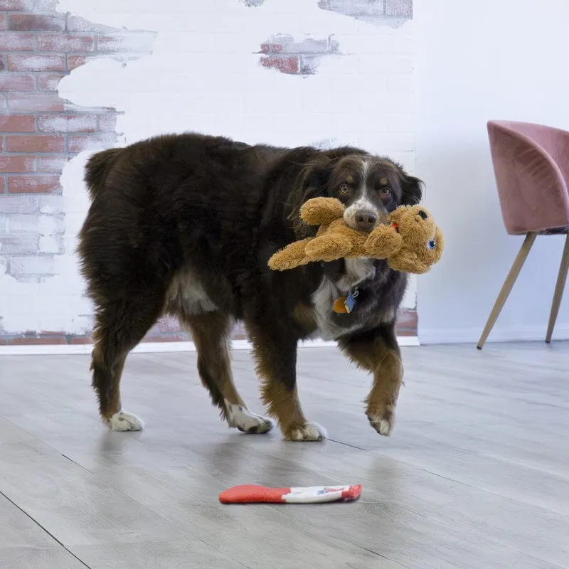 KONG | Comfort Pups