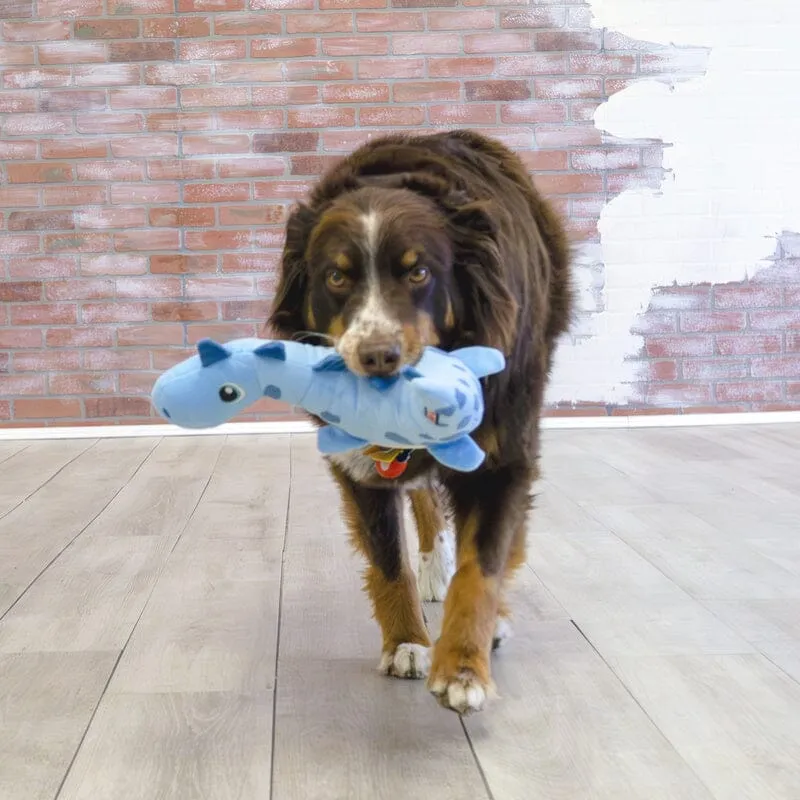 KONG | Dynos