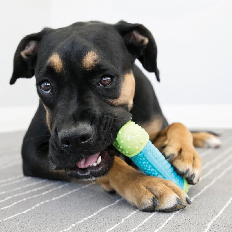 KONG | CoreStrength Bone