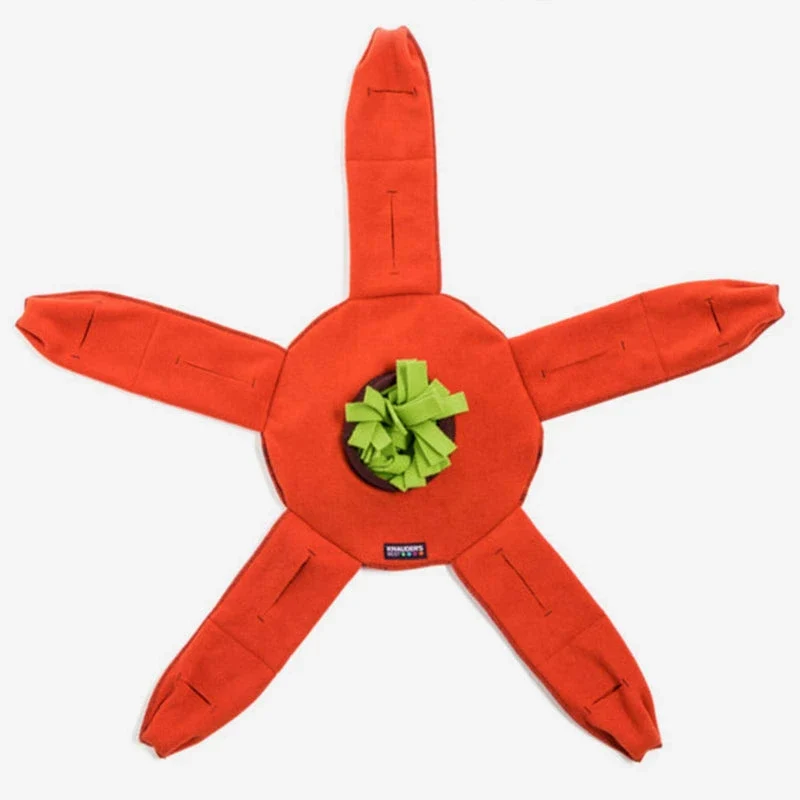 KNAUDER´S BEST | Sniffstar