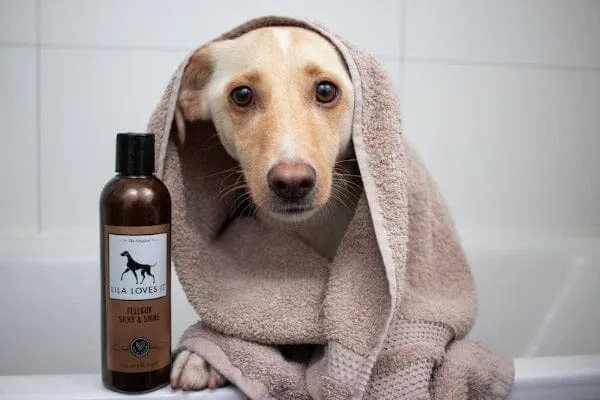LILA LOVES IT | Fellkur Silky & Shine