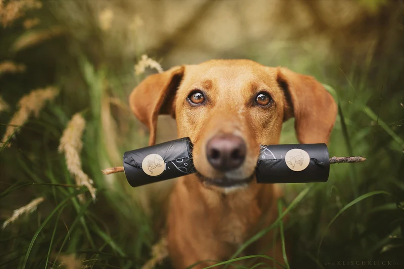The Sustainable People | Hundekotbeutel - biologisch abbaubar