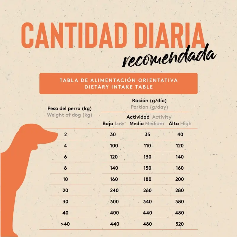 Dibaq Sense Pienso Perros Low Grain Pescado Adulto, 12 kg