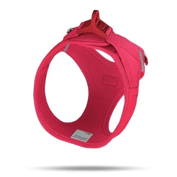 curli Geschirr | Clasp Air-Mesh