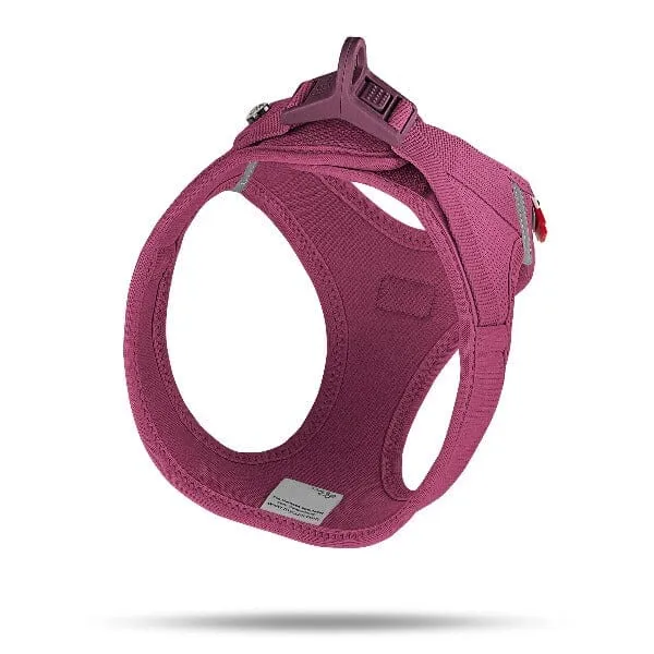 curli Geschirr | Clasp Air-Mesh
