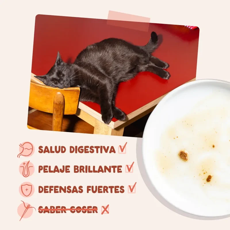 Edgard & Cooper Trucha & Pollo En Salsa Adulto, 12x85 gr