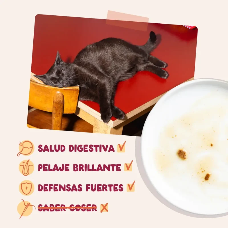 Edgard & Cooper Pollo En Salsa Adulto, 12x85 gr