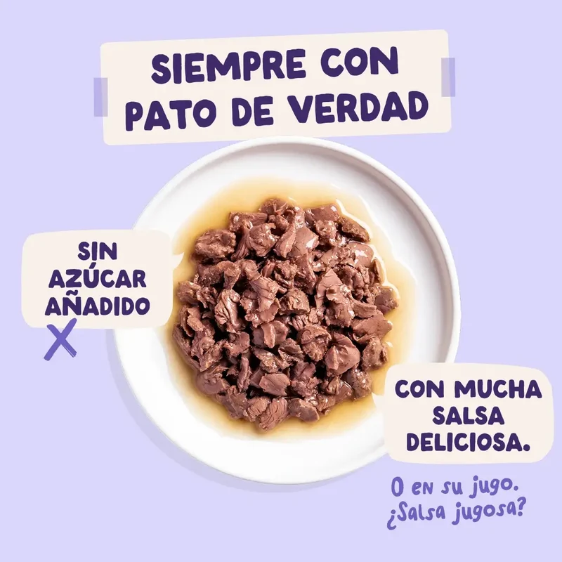 Edgard & Cooper Pato & Pavo En Salsa Adulto, 12x85 gr