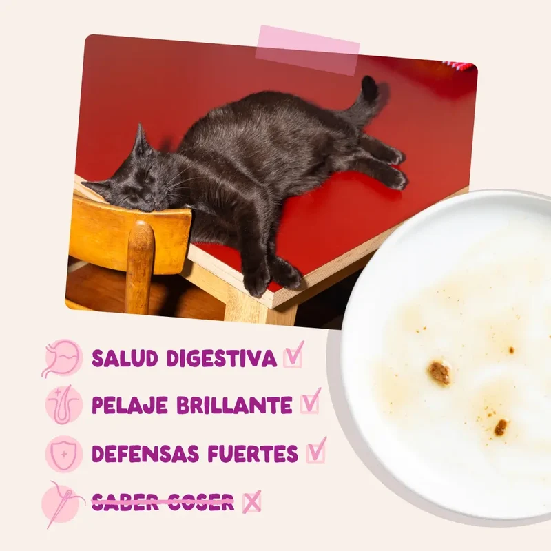 Edgard & Cooper Pato & Pollo En Salsa Para Gatitos, 12x85 gr