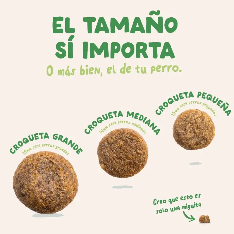 Edgard & Cooper Pienso Para Perros Adultos Medianos Con Cordero Fresco , 1 kg