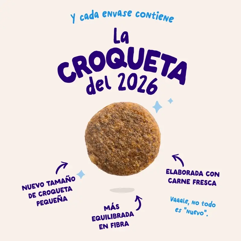 Edgard & Cooper Pienso Para Perros Adultos Medianos Con Salmón Fresco , 1 kg