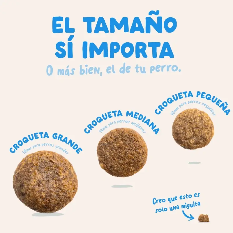 Edgard & Cooper Pienso Para Perros Adultos Medianos Con Salmón Fresco , 1 kg