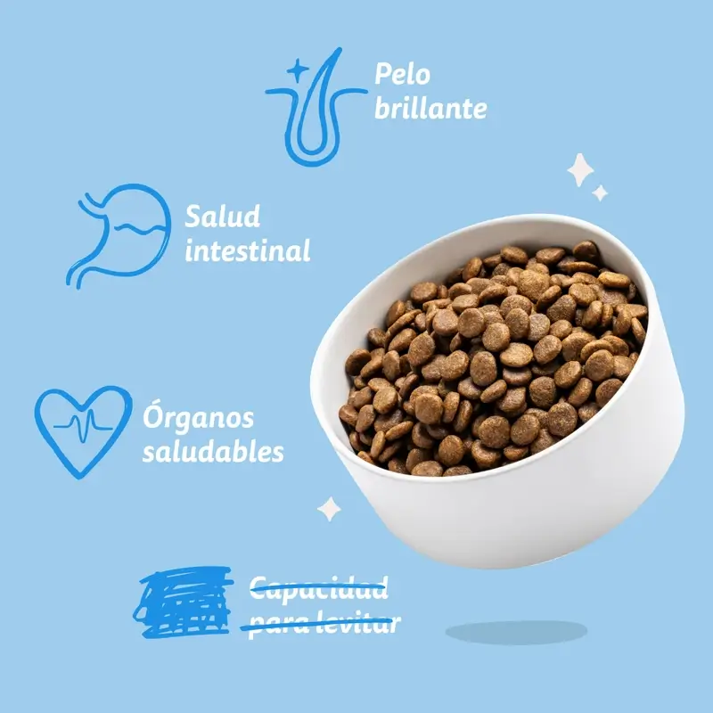 Edgard & Cooper Pienso Para Perros Adultos Medianos Con Salmón Fresco , 1 kg