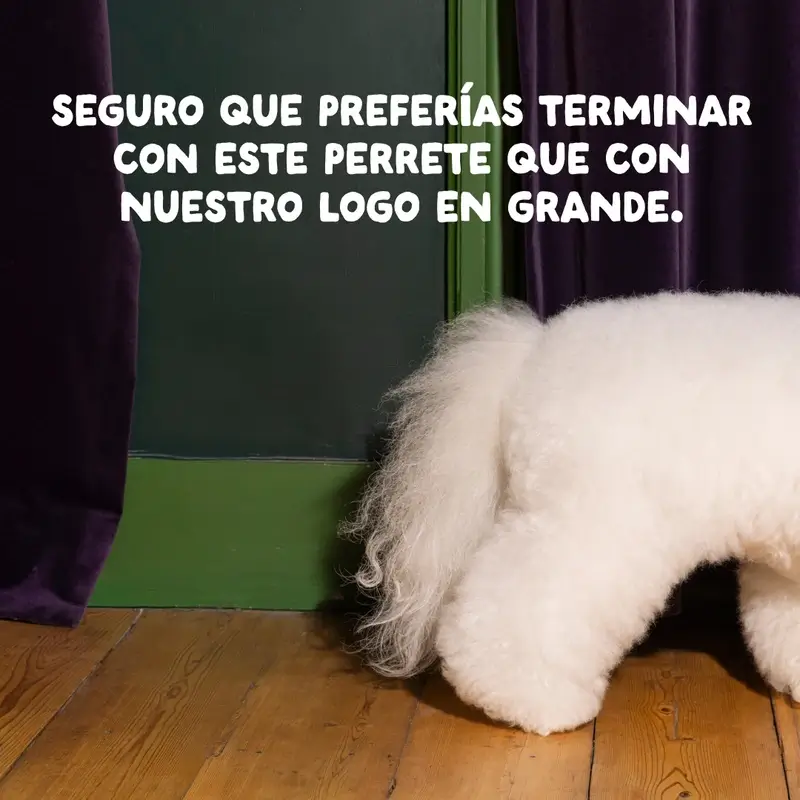 Edgard & Cooper Pienso Para Perros Adultos Mini Con Salmón Fresco , 0,7 kg