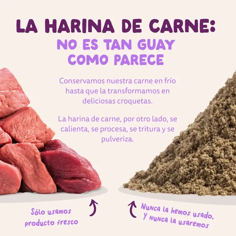 Edgard & Cooper Pienso Para Cachorros Grandes Con Salmón Y Pavo Frescos , 12 kg