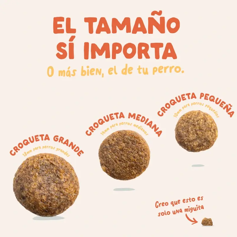 Edgard & Cooper Pienso Para Perros Adultos Medianos Con Pollo Fresco , 1 kg