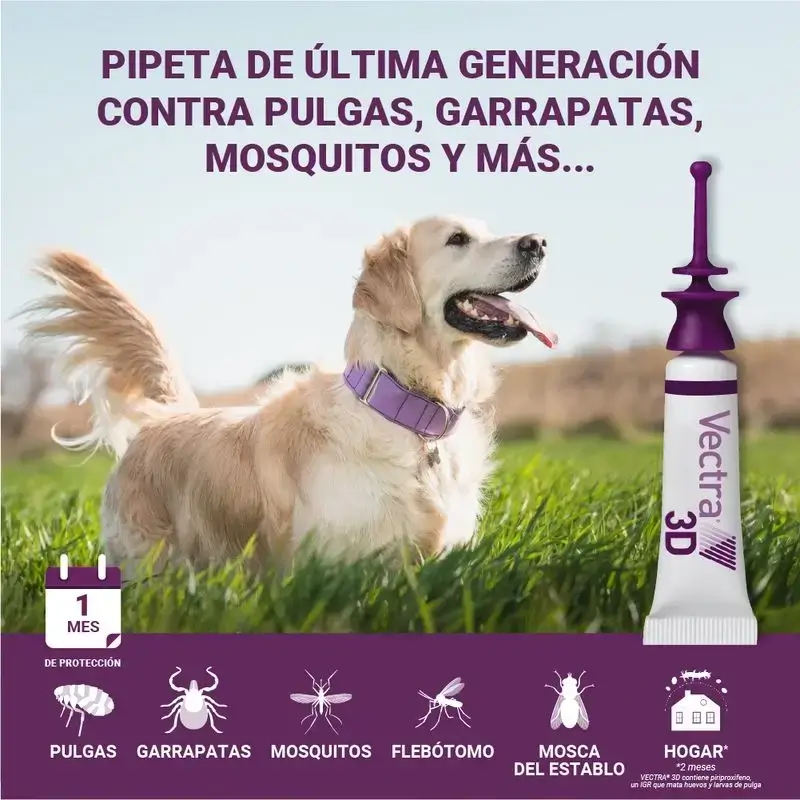 Vectra 3D Perro 1,5-4 Kg, Pack 2 x 3 Pipetas