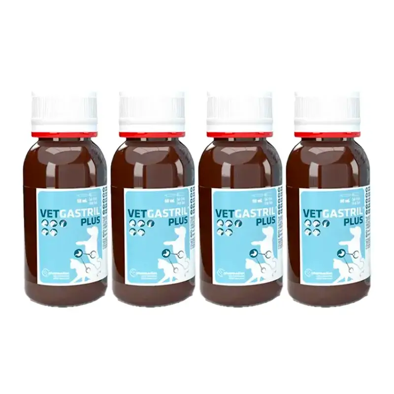 Vetgastril Plus Protector Gástrico para Perros y Gatos, Pack 4 x 50 ml