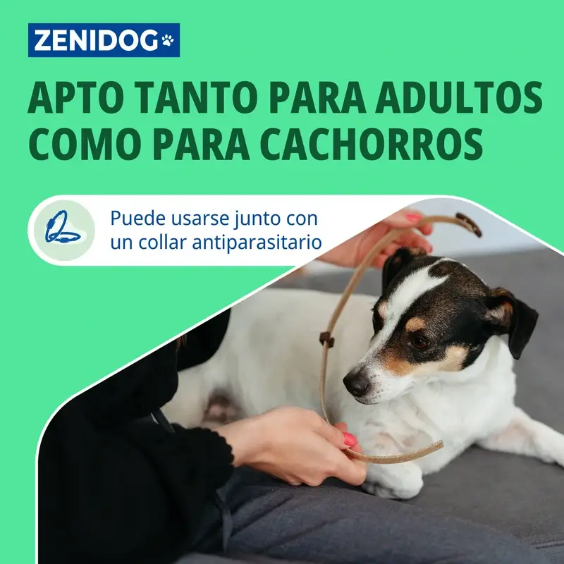 Virbac Zenidog Collar S