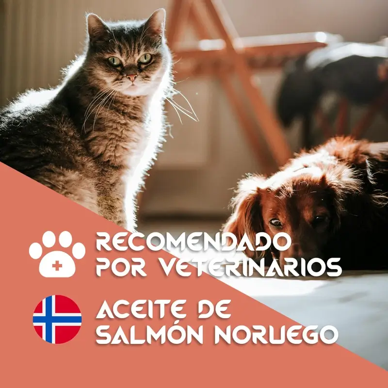 Togo Aceite De Salmon, 250 ml